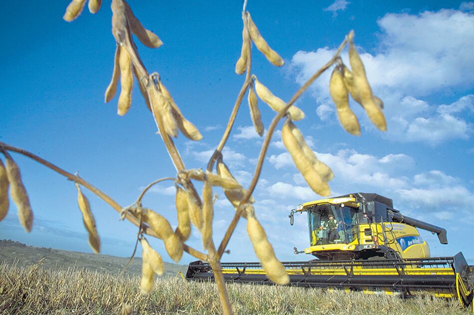 “No se sale apelando a un destino prometido”, afirman los de CRA.