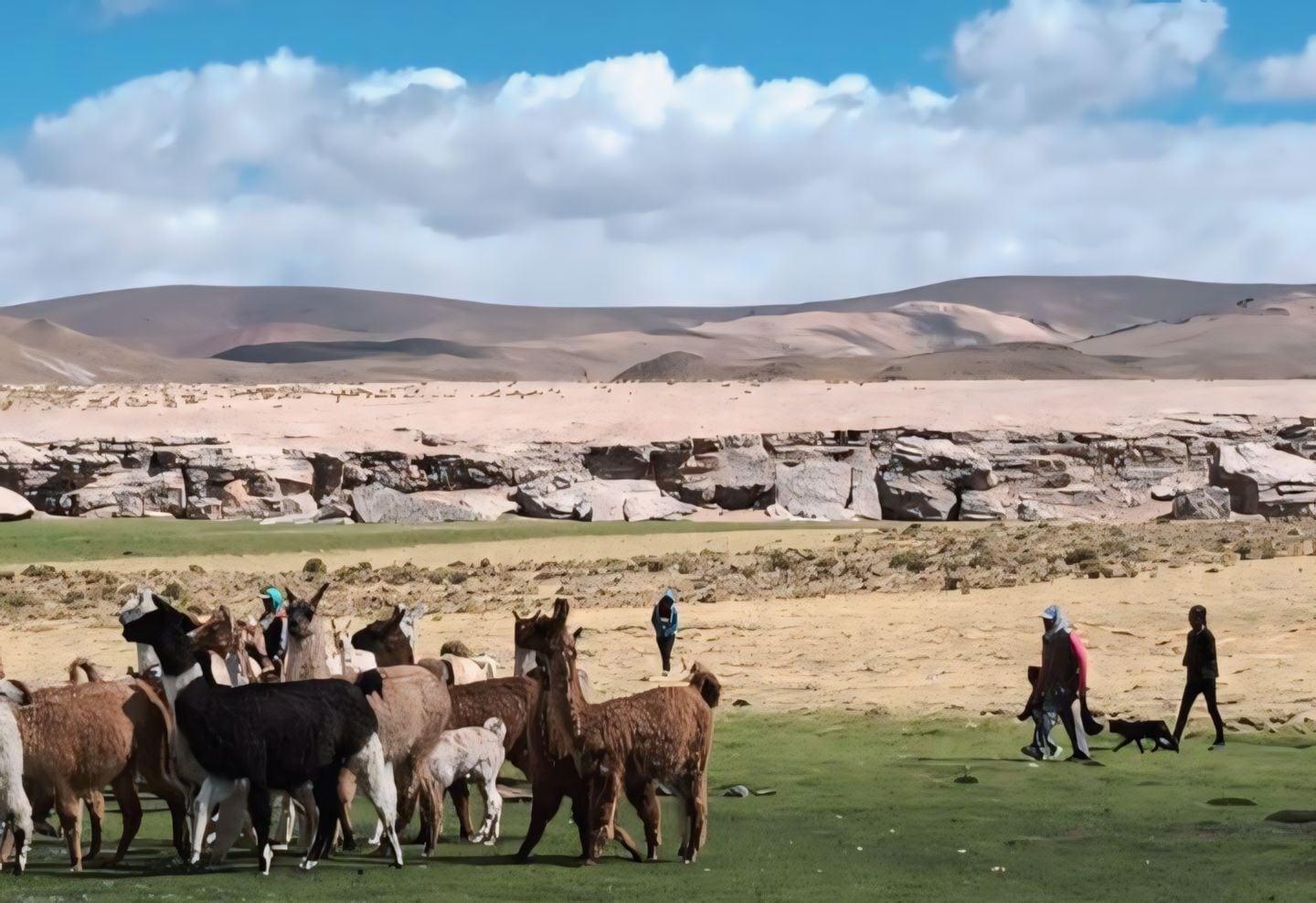 En Peñas Negras la comunidad practica la economía tradicional.