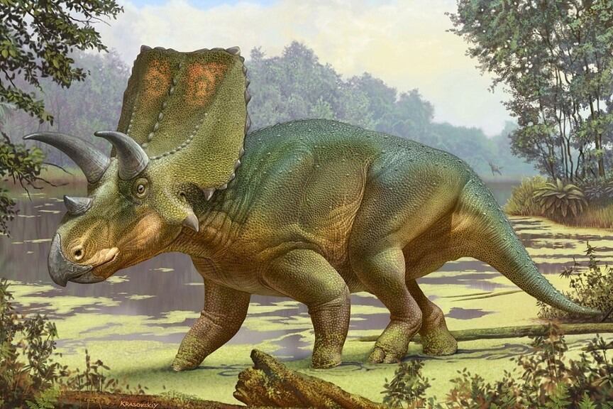 Sierraceratops turneri, el "dinosaurio cornudo" cuyo fósil fue encontrado en la propiedad de Ted Turner, fundador de CNN.