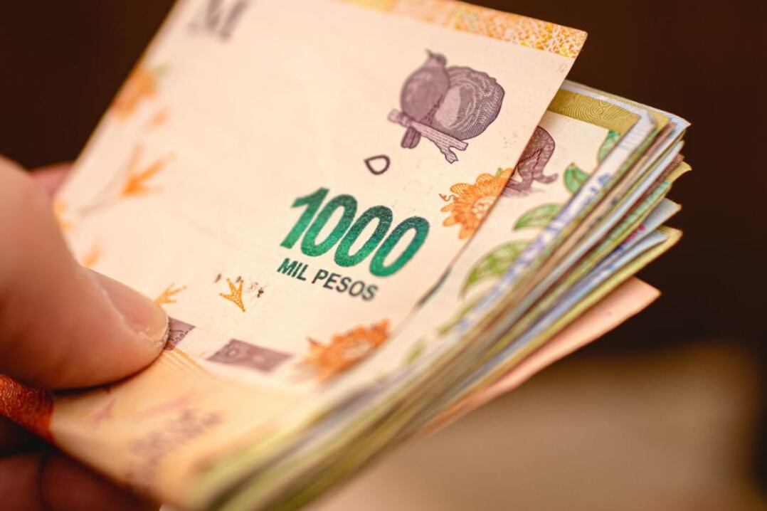 A quiénes está destinada la suma fija de $60.000 y el bono de $25.000 anunciados por el Gobierno.