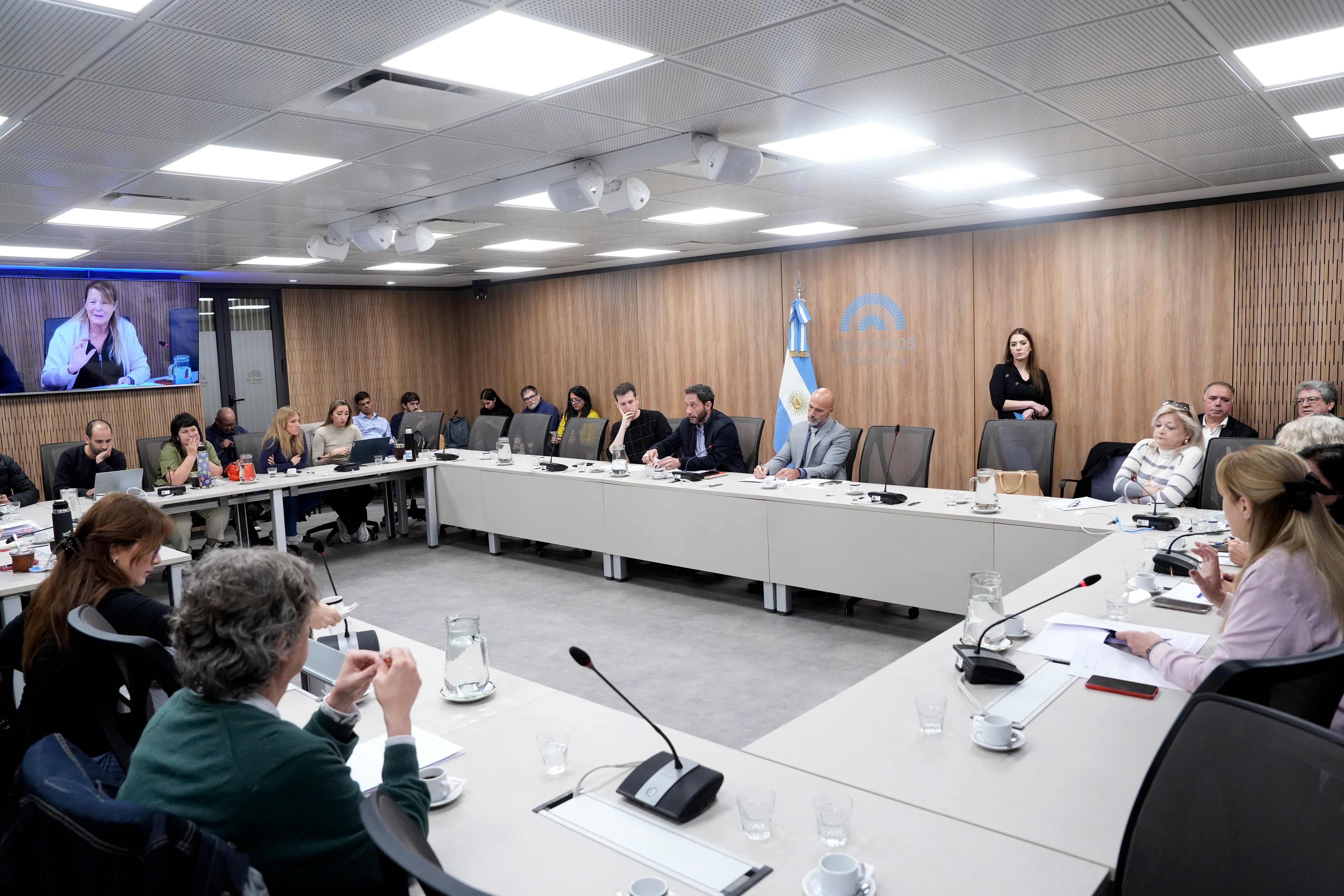 La comisión investigadora $LIBRA se reunió por última vez.