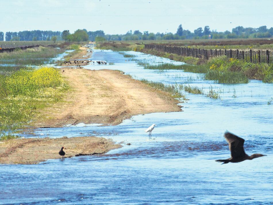 El piquete se convocó con la consigna “Saquen el agua”.