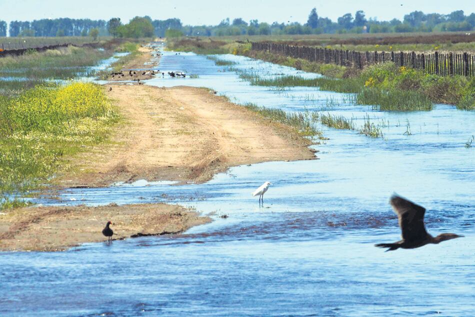 El piquete se convocó con la consigna “Saquen el agua”.