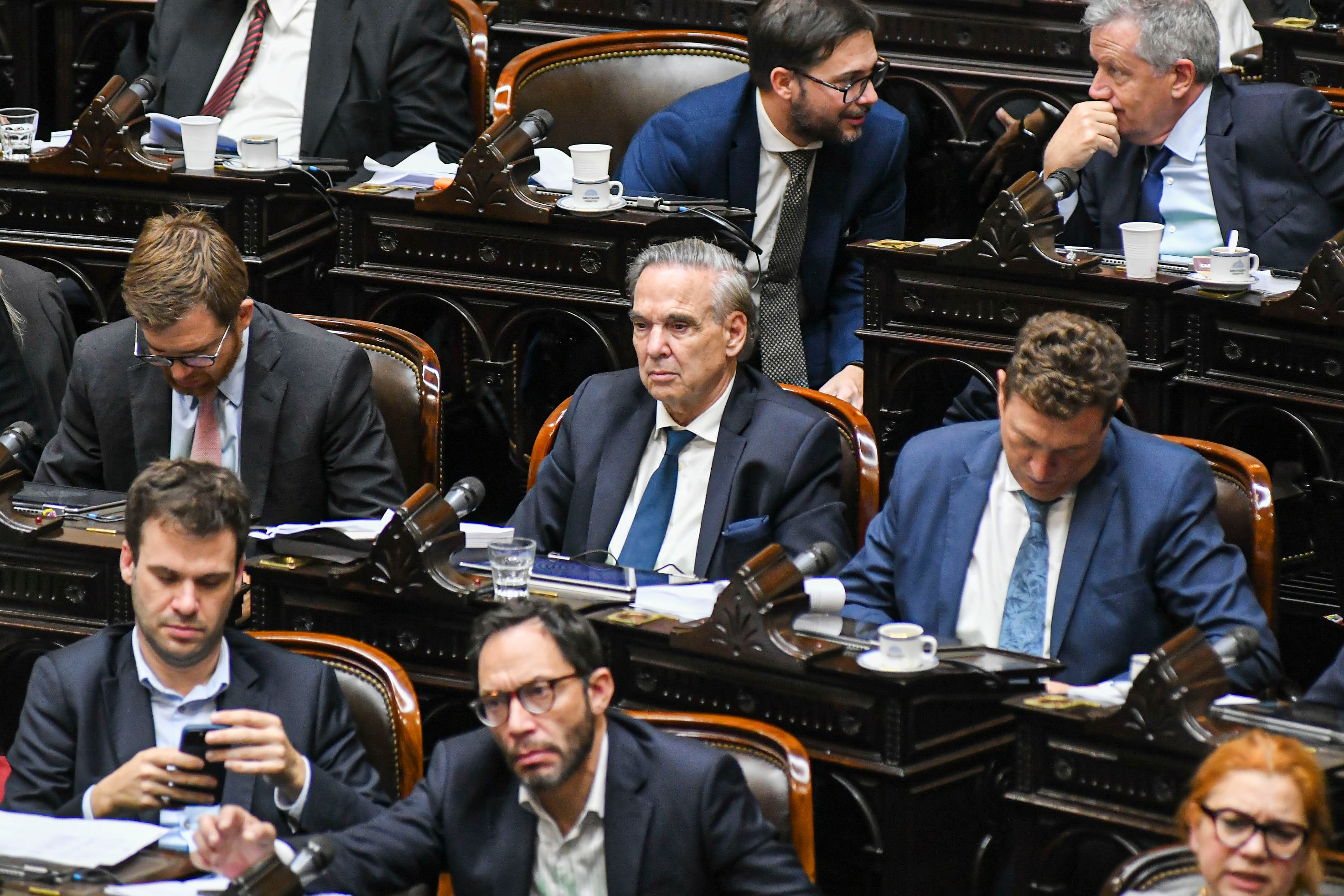 El bloque de Miguel Ángel Pichetto es el que impulsa la iniciativa, a pesar de que él no la votaría.