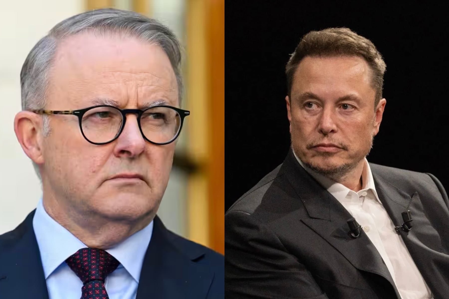 "Hablaremos con cualquiera", dijo Albanese al ser consultado si discutiría la legislación con Musk  