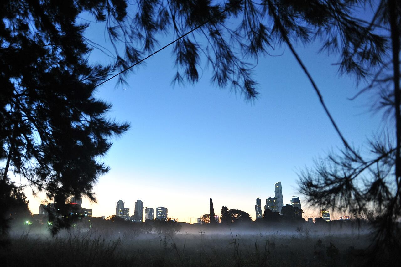 Desarrollo es articular distintos sectores para potenciar sus capacidades productivas.