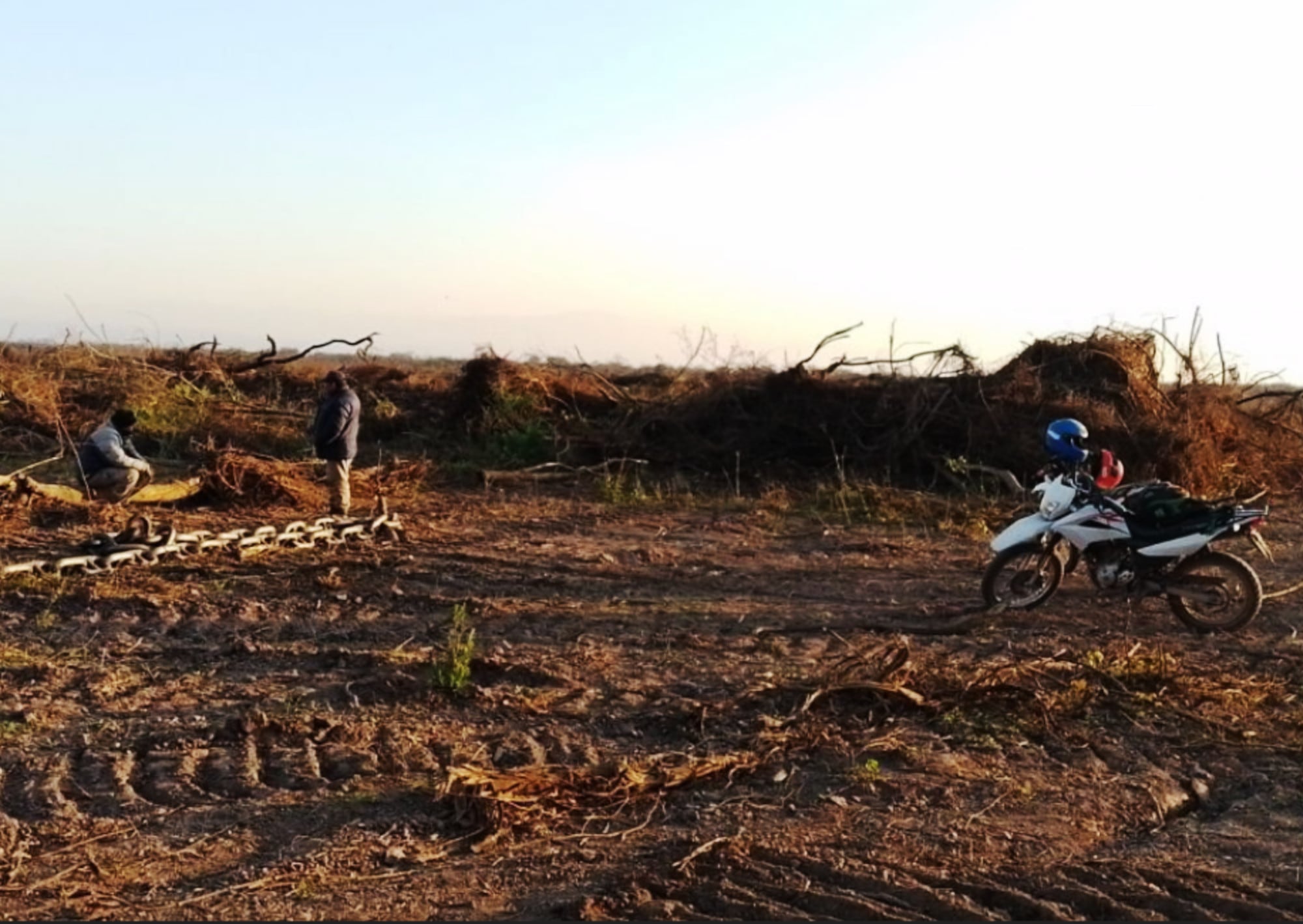 Desmonte reciente sobre un catastro del Grupo Budeguer
