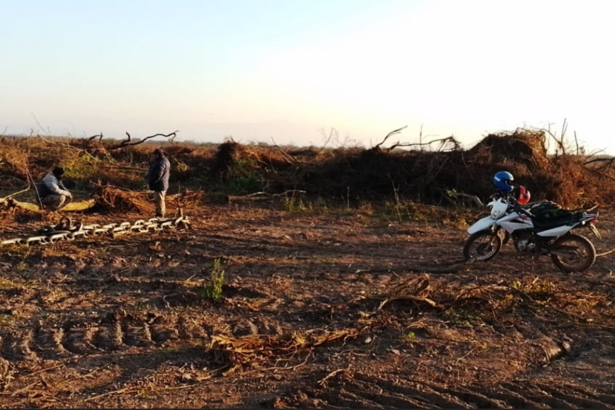 Desmonte reciente sobre un catastro del Grupo Budeguer