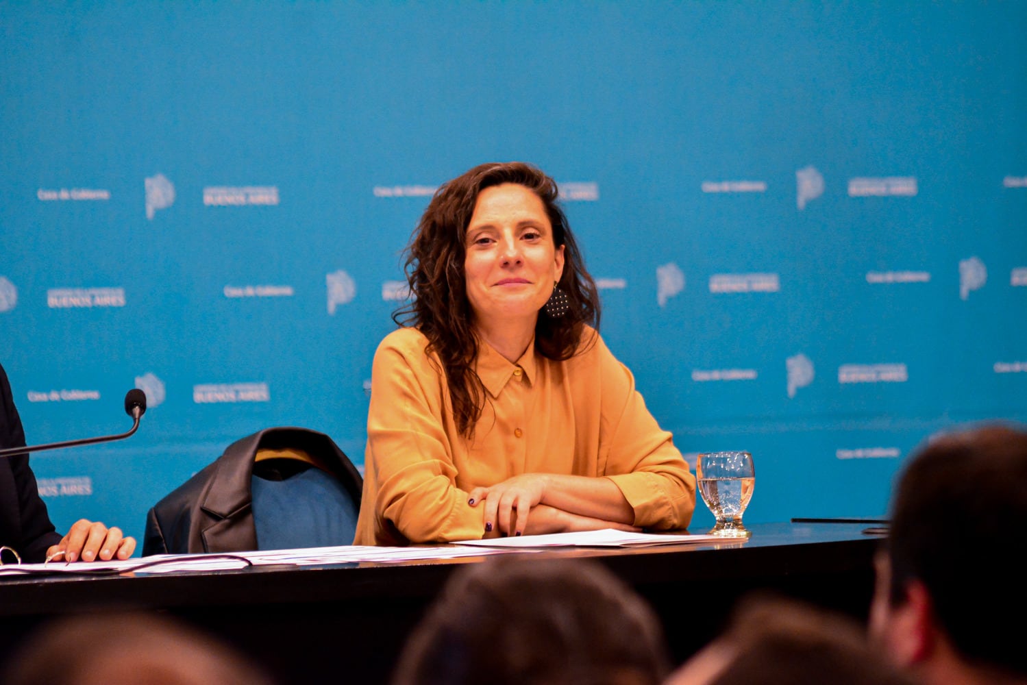 Leticia Ceriani, subsecretaria de Gestión de la Información, Educación permanente y Fiscalización.