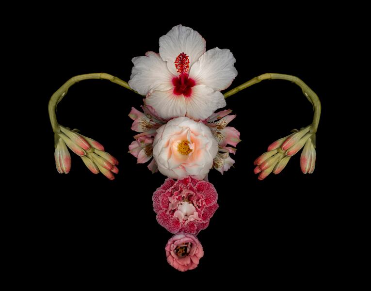 Uterus, de Catharina Suleiman.