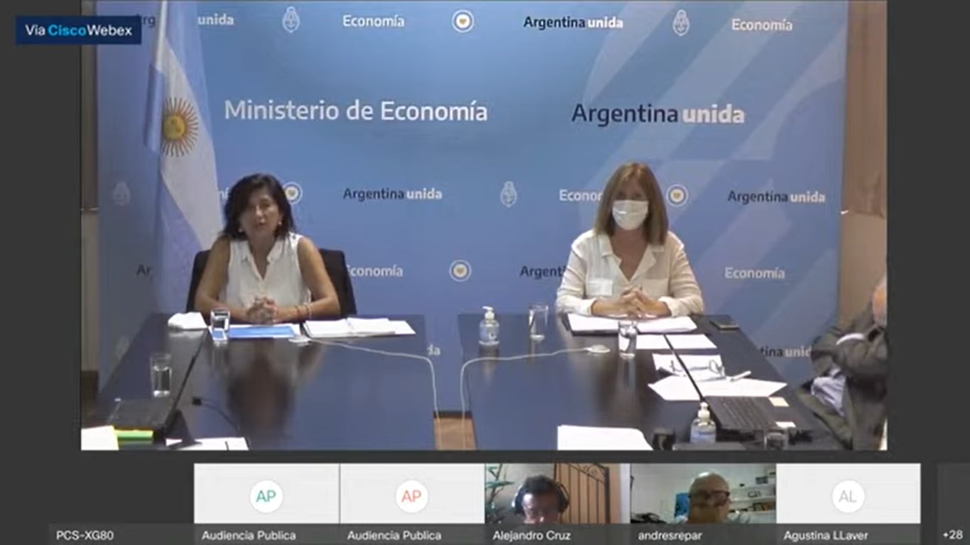 Maggie Luz Videla Oporto, subsecretaria de Hidrocarburos (izquierda) presentó el informe oficial.