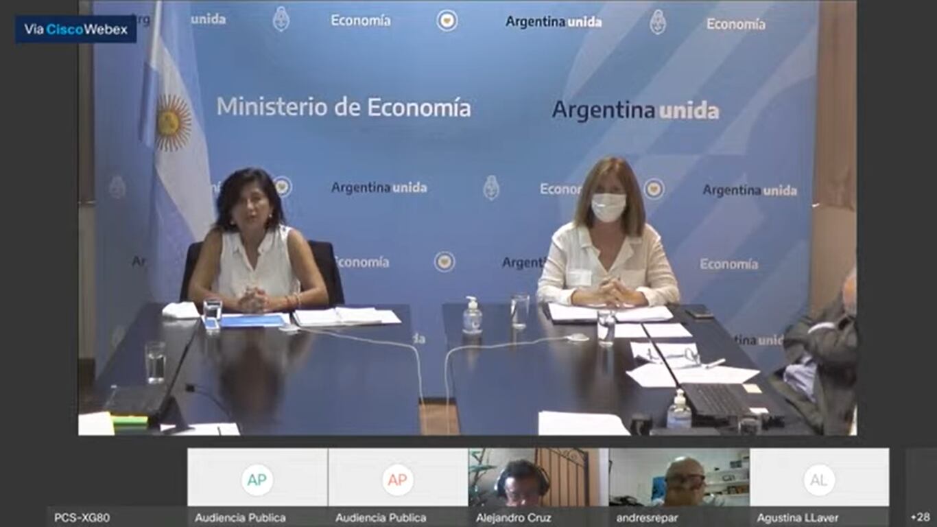 Maggie Luz Videla Oporto, subsecretaria de Hidrocarburos (izquierda) presentó el informe oficial.
