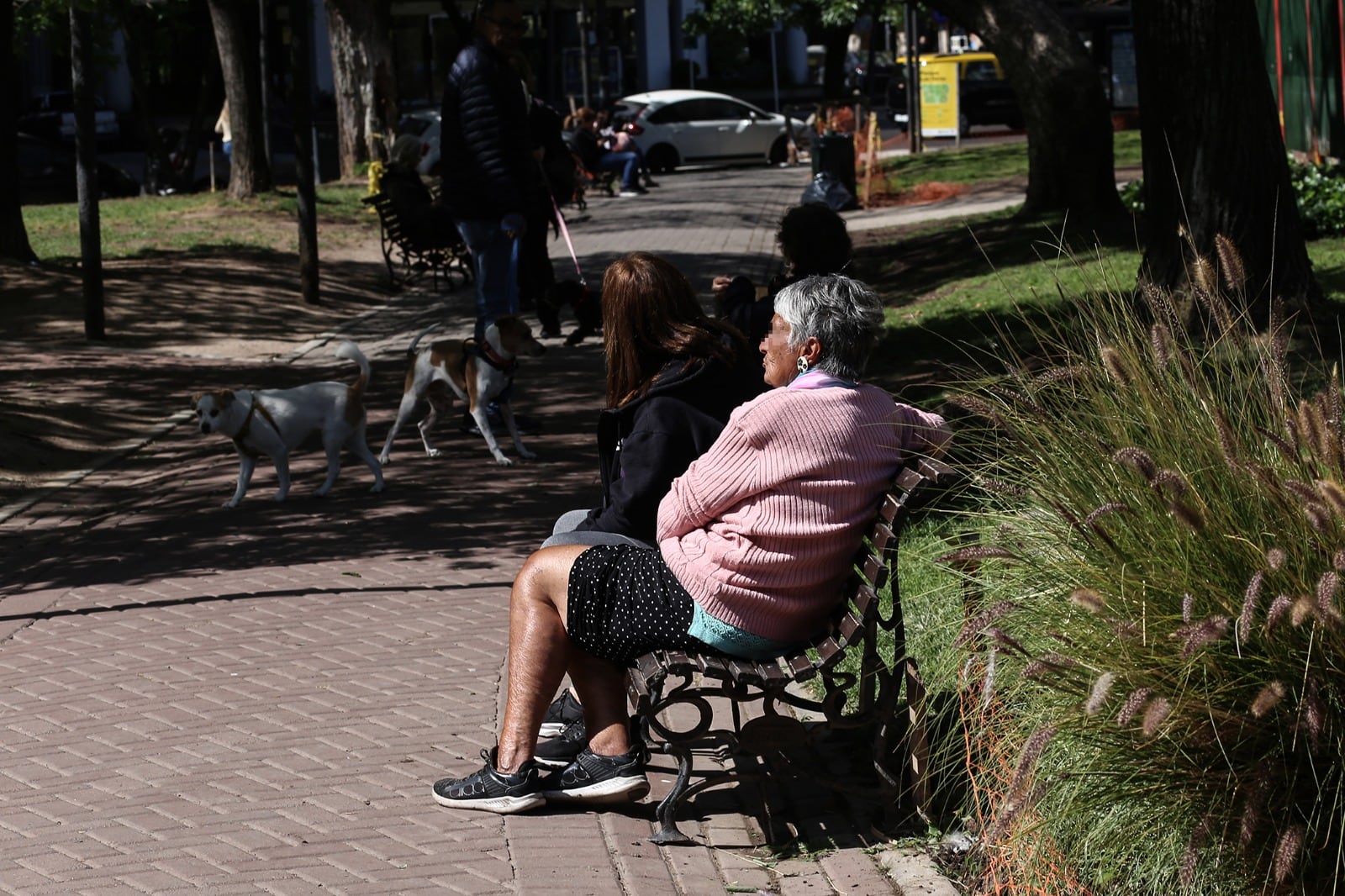 Pensando espero. Abril viene con adicionales, de monto pero también de cuotas