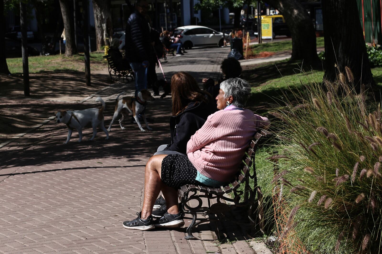 Pensando espero. Abril viene con adicionales, de monto pero también de cuotas
