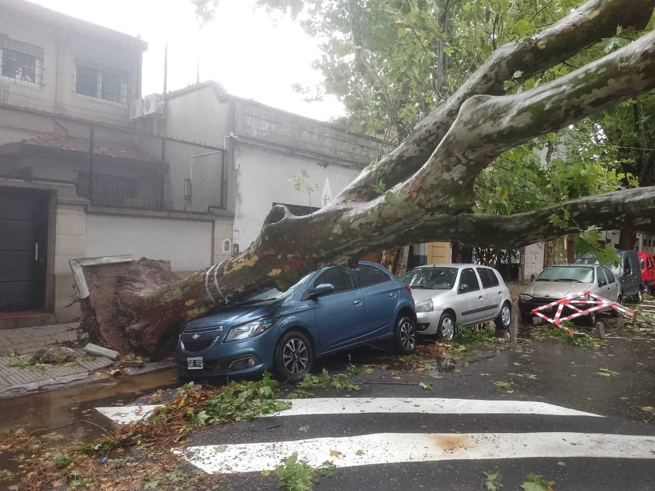 En Villa Crespo un árbol cayó sobre un auto estaionado.