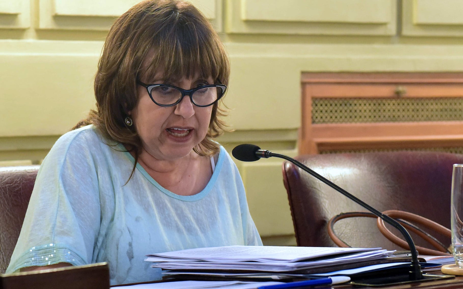 El proyecto lo presentó Alicia Gutiérrez, junto a Bonfatti, el socialismo y la izquierda.