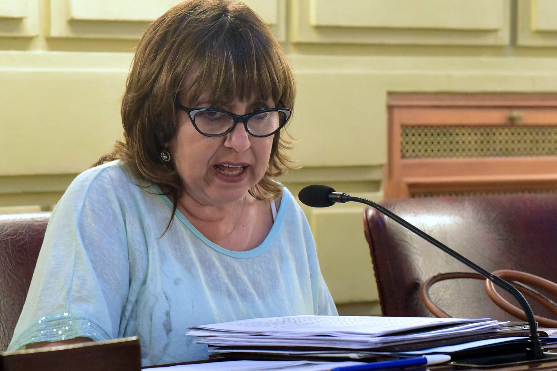 El proyecto lo presentó Alicia Gutiérrez, junto a Bonfatti, el socialismo y la izquierda.