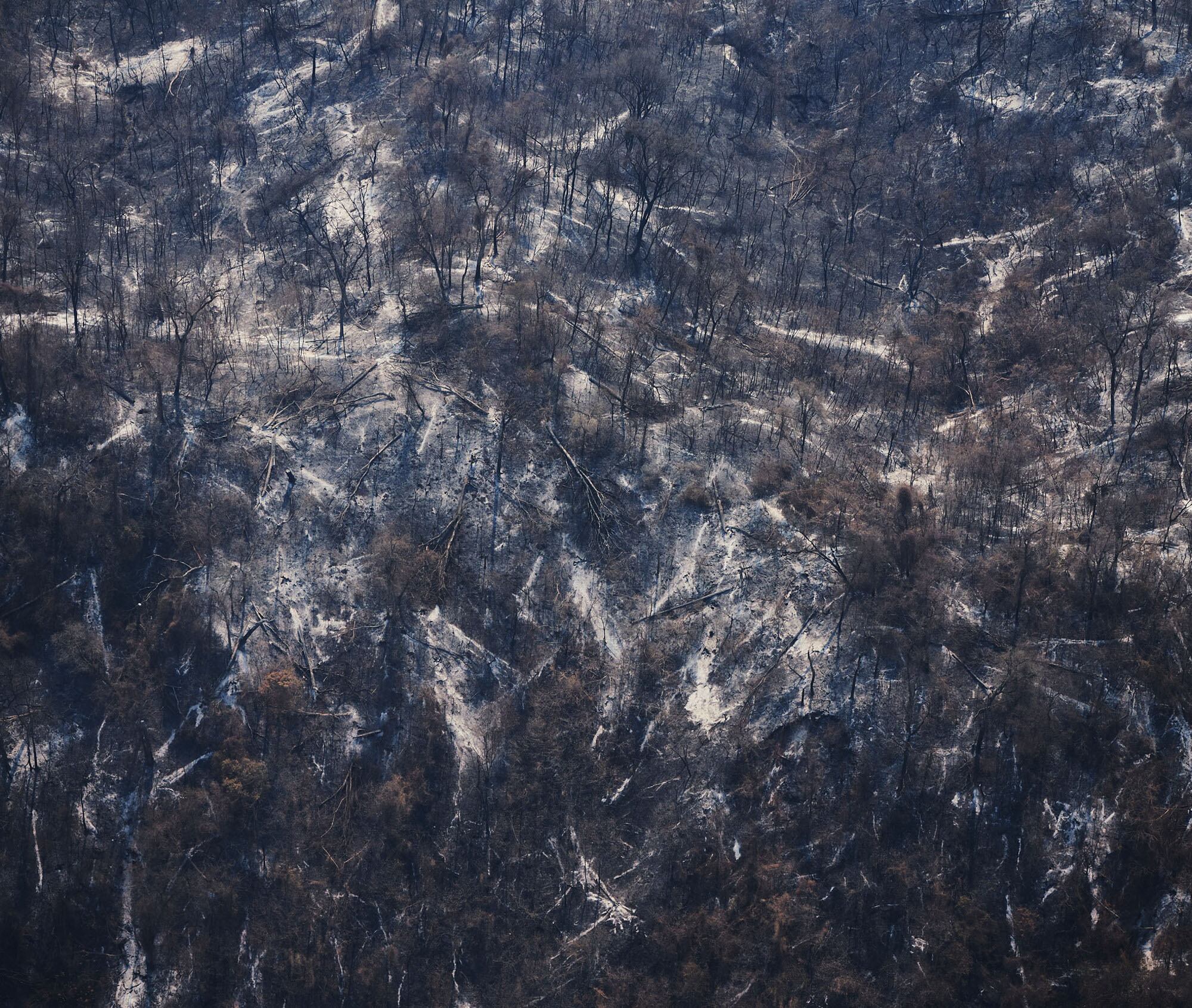 Incendios en Isla de Cañas en 2022. 
