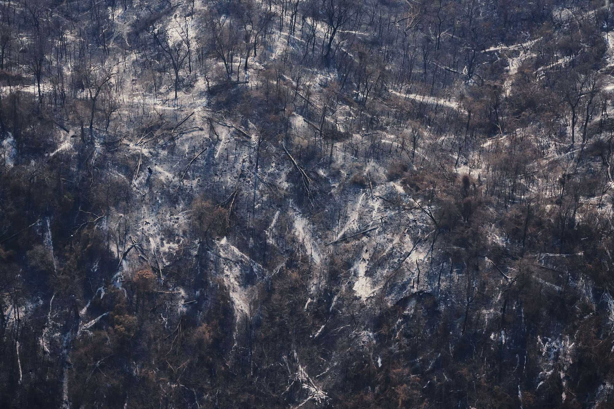Incendios en Isla de Cañas en 2022.