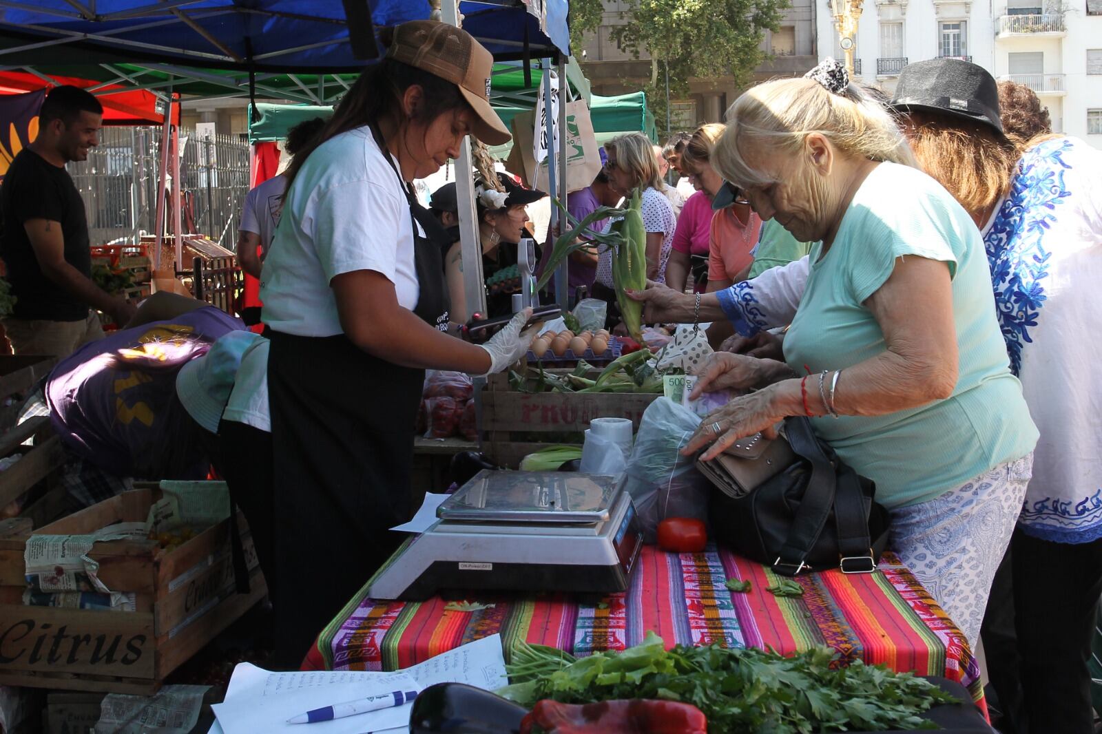 Espacios de comercialización alternativos registran inflación por debajo del promedio.