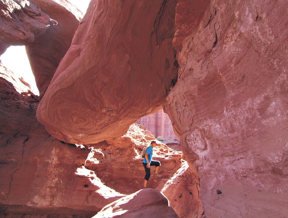 El ambiente prehistórico de la Quebrada Don Eduardo, en el Parque Nacional Talampaya.