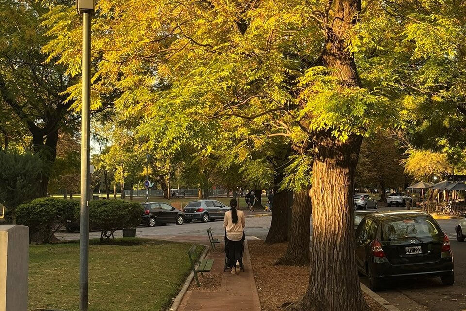 Se prevé una temperatura mínima de 12 grados y una máxima de 25 grados.