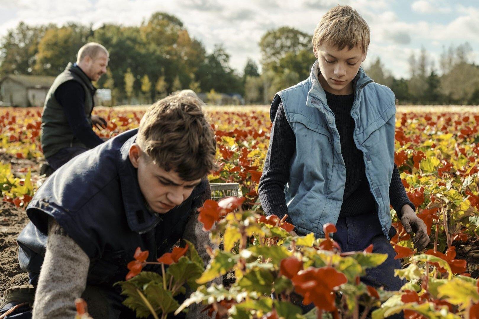 Dos amigos ponen sus vínculos y su mundo compartido en Close, película del alemán Lukas Dhont que llega a cines el 2/3