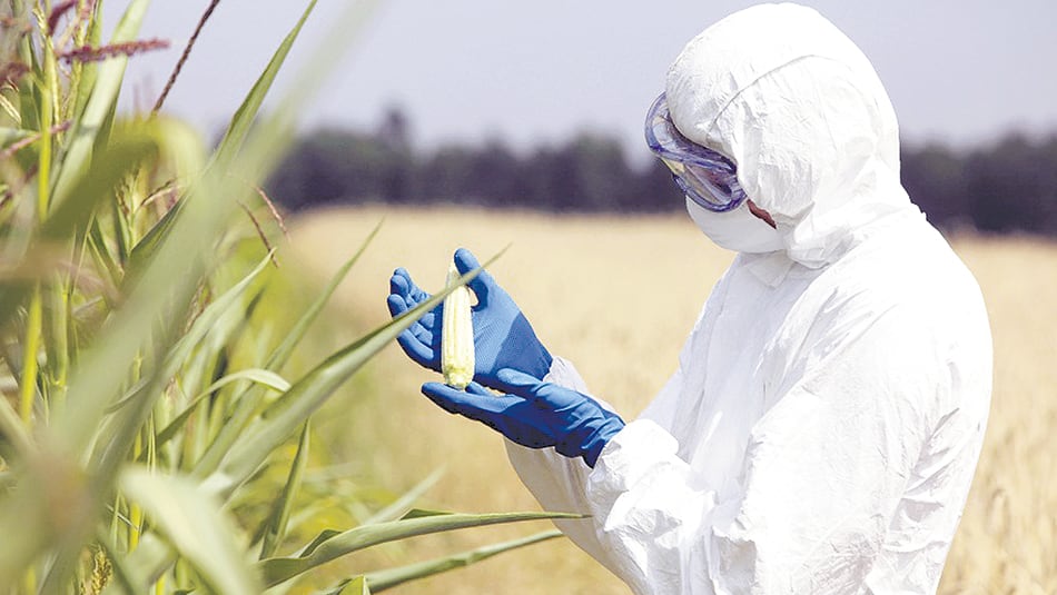 El informe apunta a cuatro empresas que dominan el mercado de semillas y agrotóxicos.