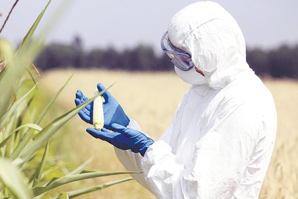 El informe apunta a cuatro empresas que dominan el mercado de semillas y agrotóxicos.