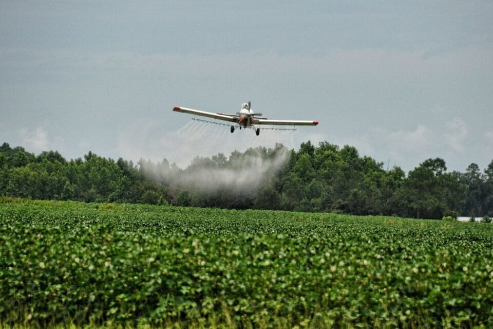 El uso de bioinsumos reduce el riesgo de contaminación para poblaciones aledañas a las plantaciones.