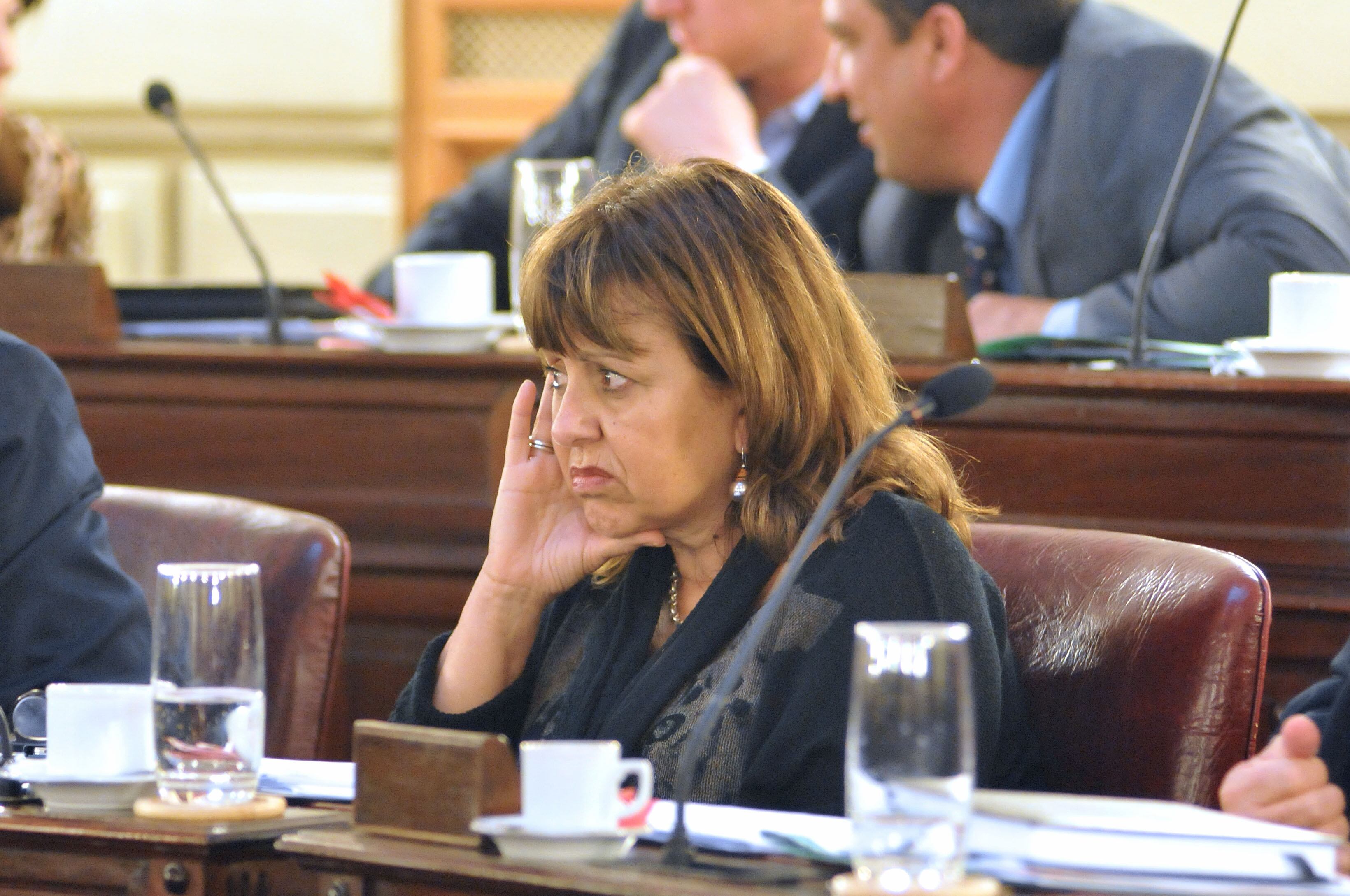 Alicia Gutiérrez presentó un proyecto en la Cámara baja.