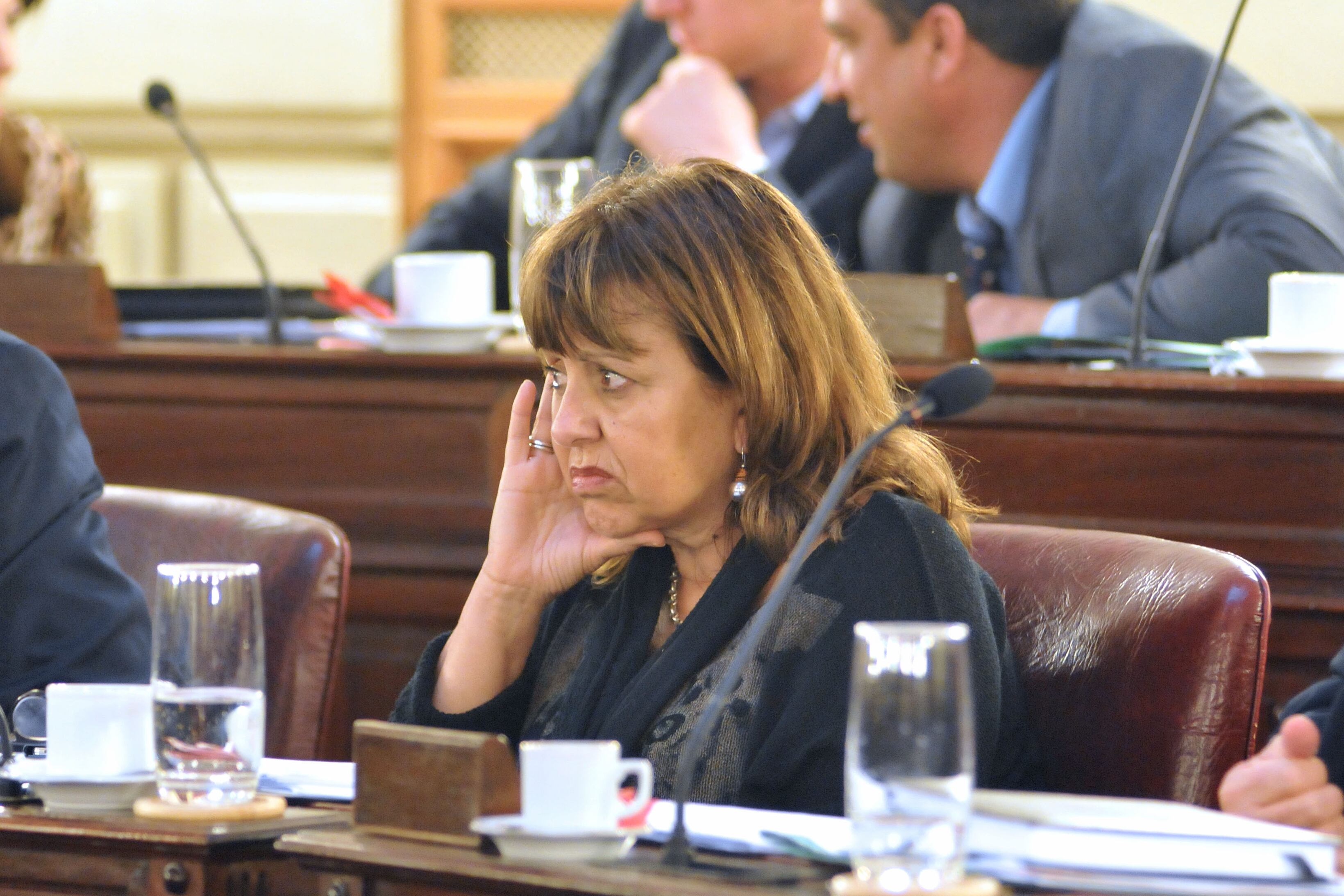 Alicia Gutiérrez presentó un proyecto en la Cámara baja.