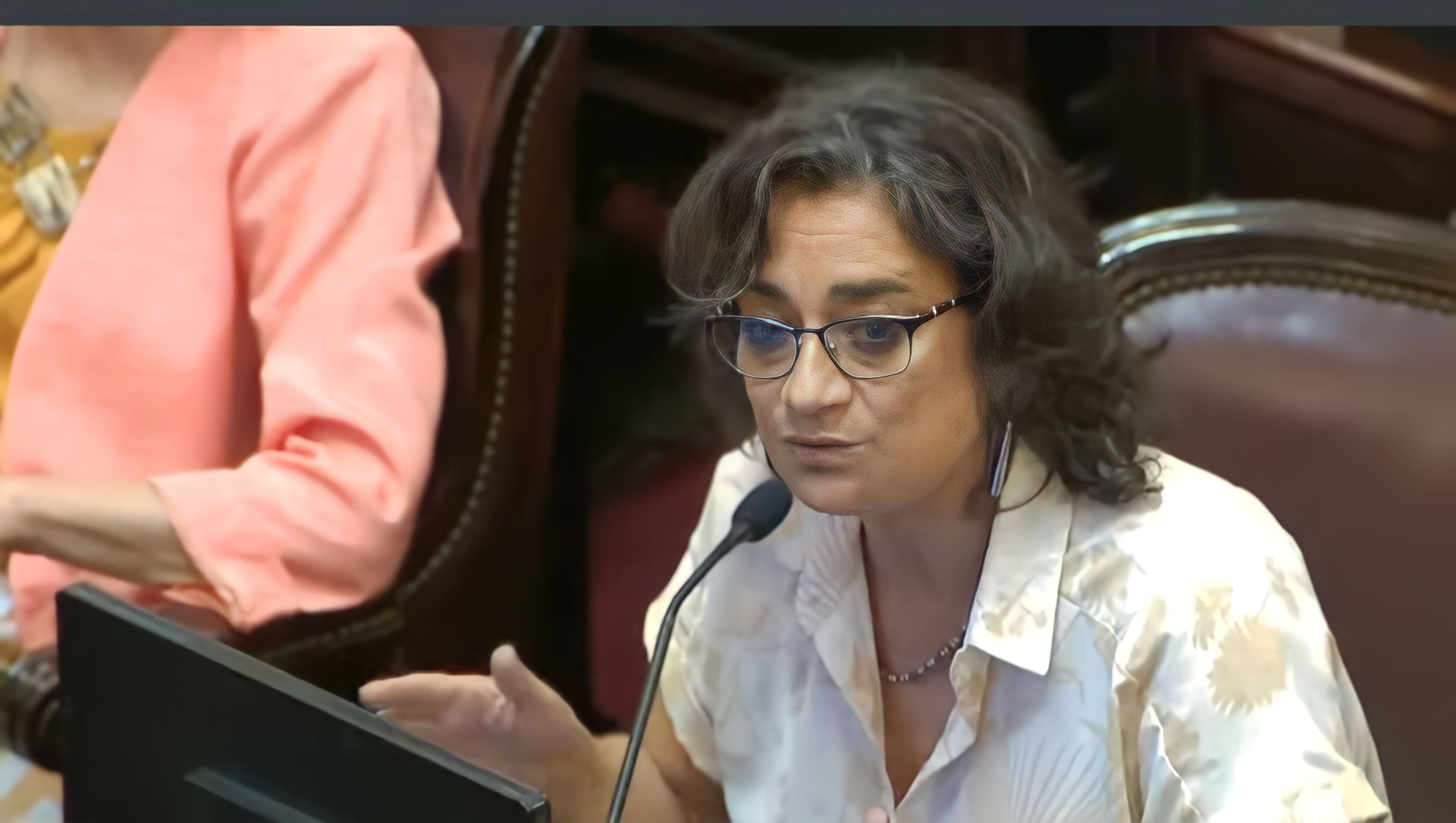 Lucía Corpacci, senadora Nacional y  Presidenta del Consejo Provincial del Partido Justicialista de Catamarca. 