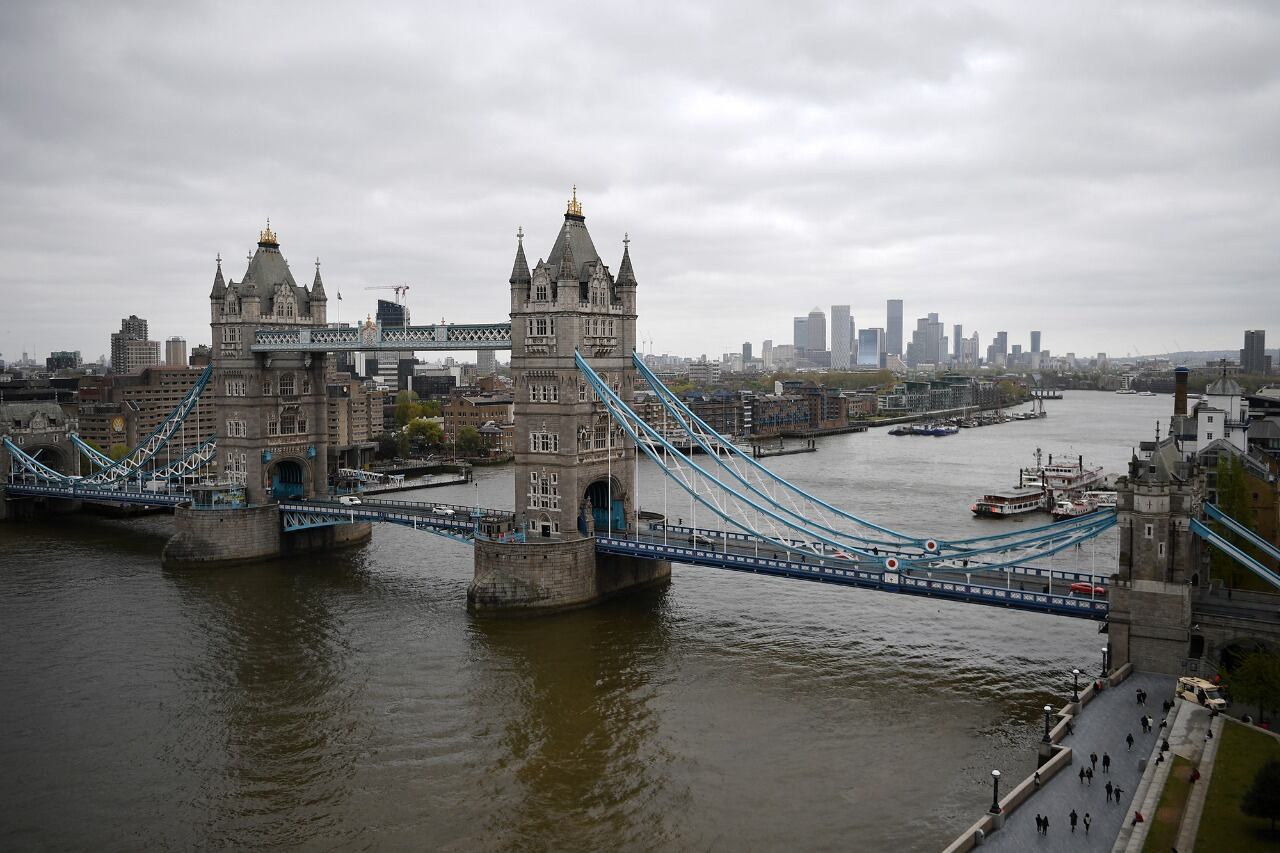 Se encuentran tres tipos de tiburones: el cazón, la caella y la mielga, un pequeño tiburón de unos 60 centímetros, que está cubierto de espinas venenosas.