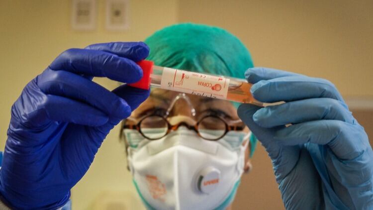 Chen Wei fue clave para combatir las epidemias de Ébola y SARS. 