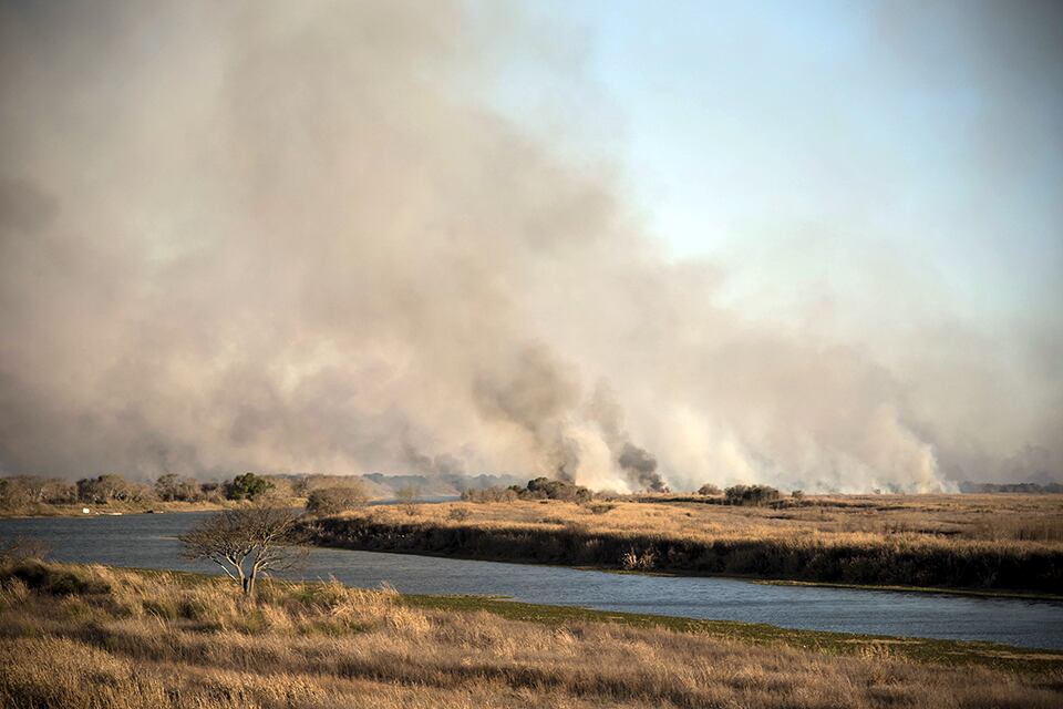 A partir de la quema drástica del humedal en 2020, el rector convocó a la Plataforma. 