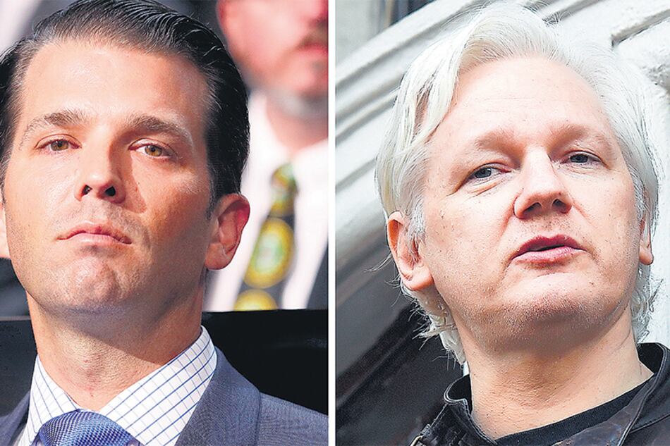 Trump junior y Assange, protagonistas de un intercambio de mensajes que llamaron la atención de los demócratas.
