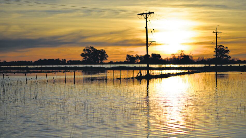 “Las napas están muy arriba y los suelos no absorben más agua”, advierten desde las entidades.