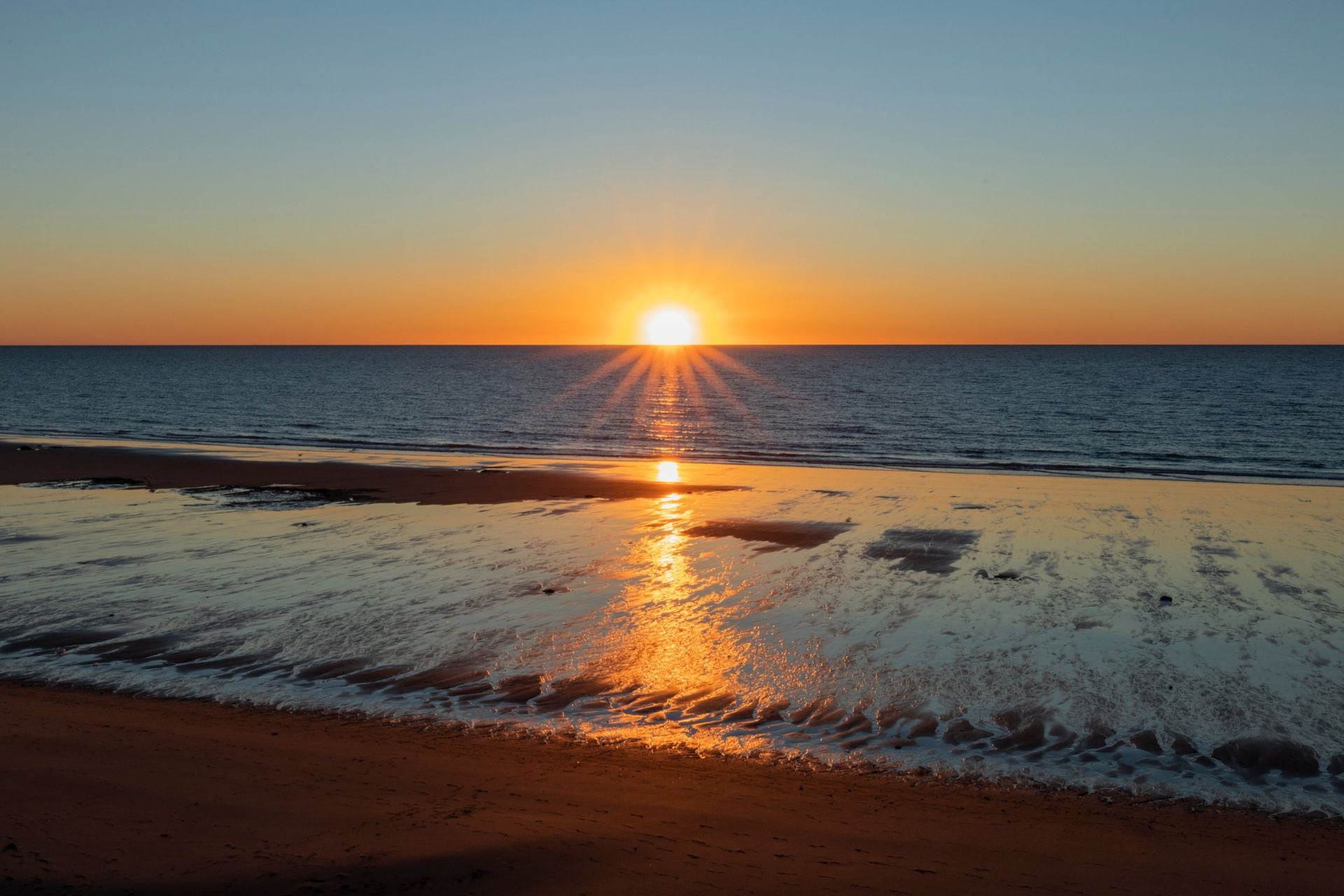 Apareció una vaca muerta en Las Grutas 