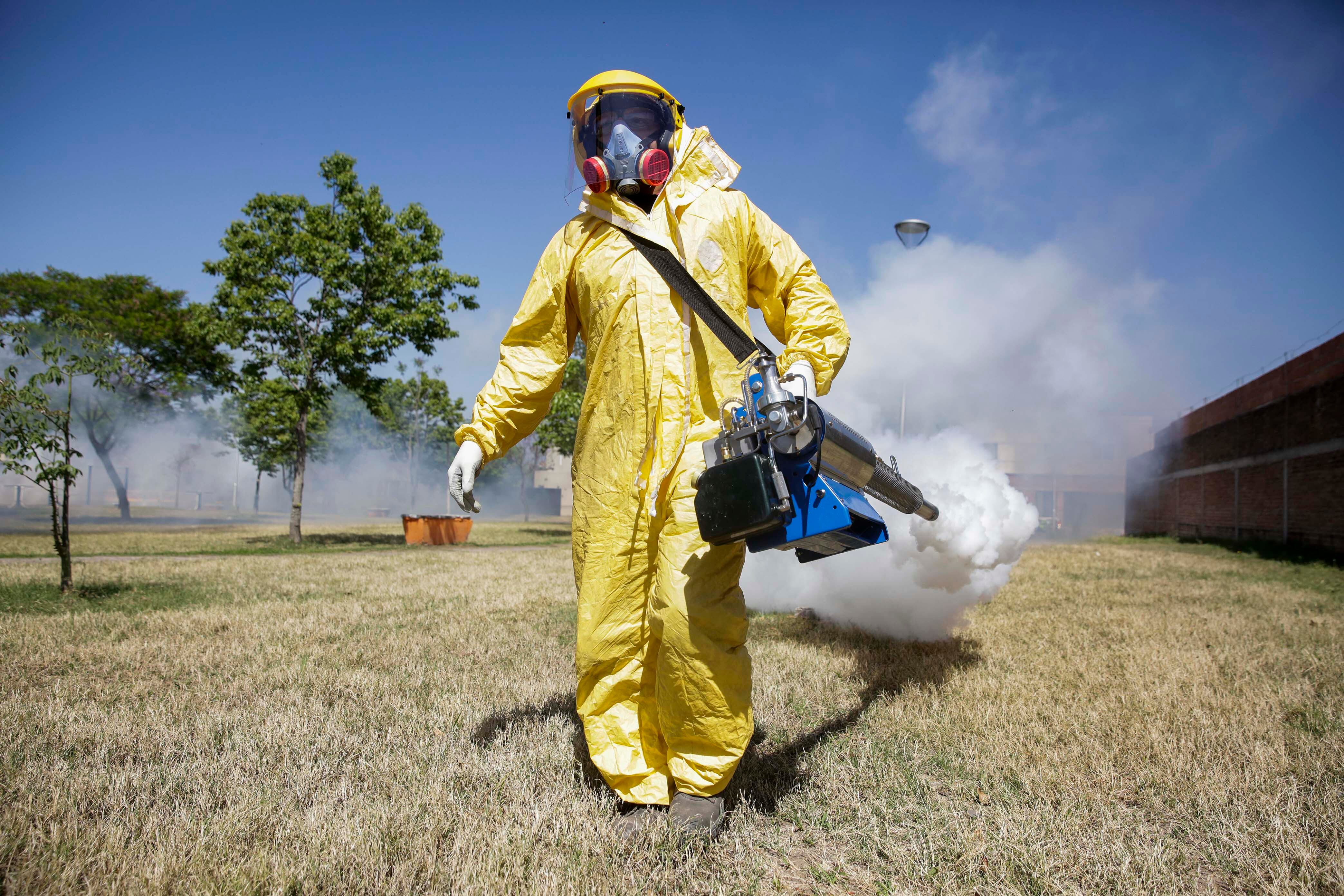 La cartera sanitaria recomendó la realización de una consulta médica de manera temprana, no automedicarse y tomar medidas para evitar la picadura de mosquitos. (Foto: Télam)