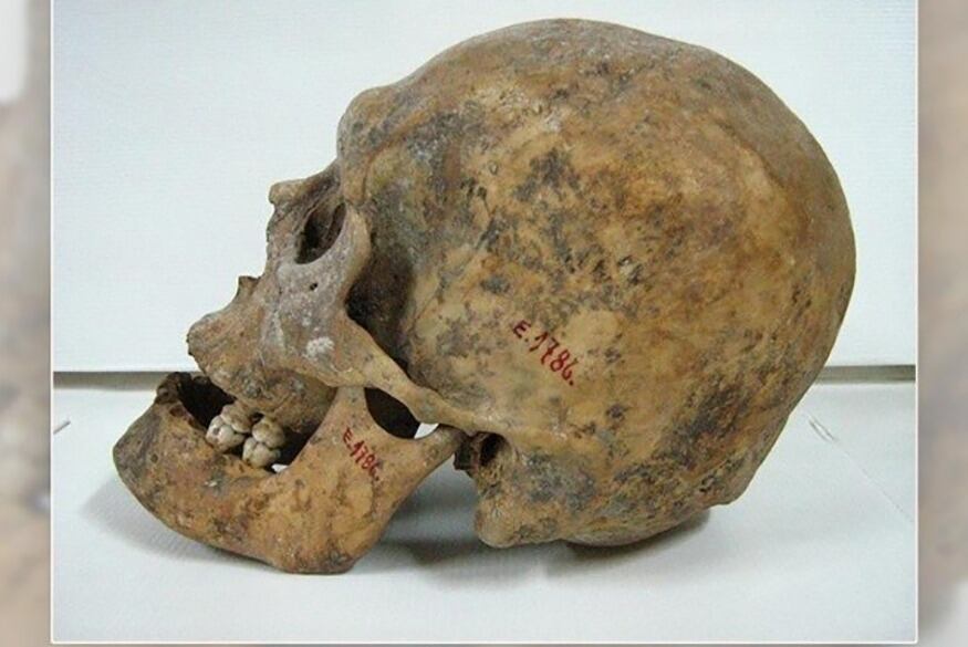 Michel fue asesinado por el cazador Antonio Pozzi.