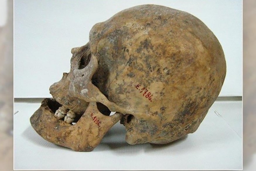 Michel fue asesinado por el cazador Antonio Pozzi.