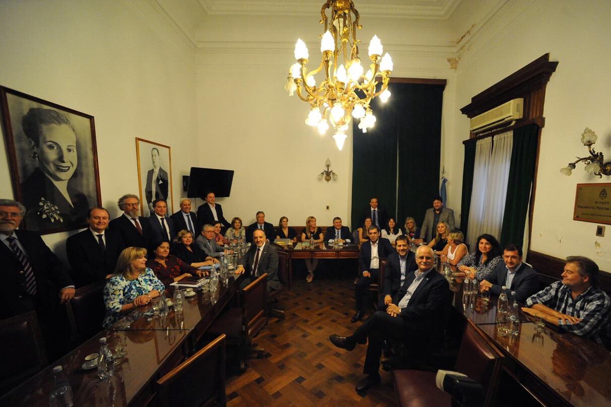 Los 41 integrantes del bloque del Frente de Todos en el Senado.