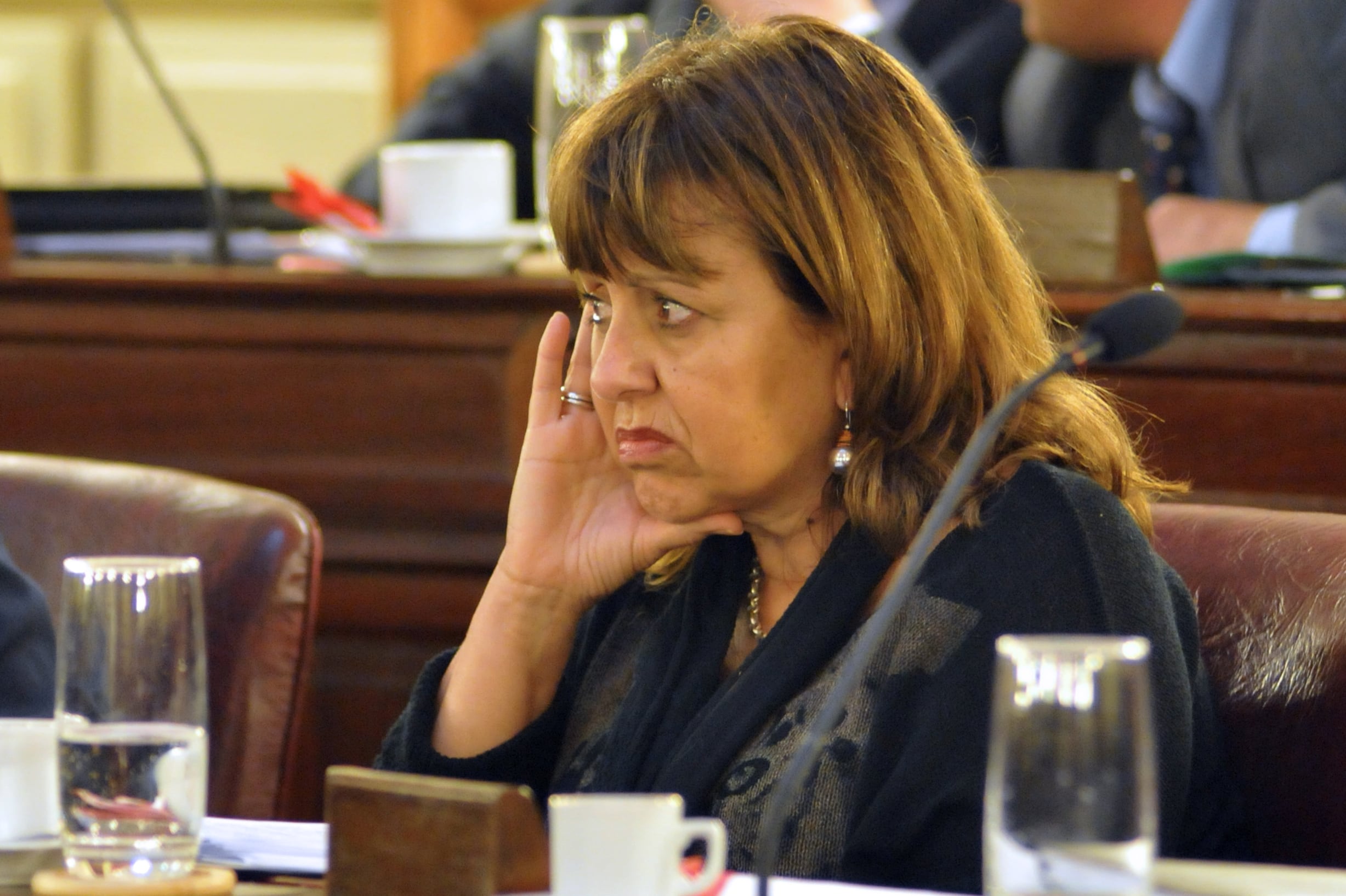 La diputada Gutiérrez cree que el hecho es grave y no se puede dejar pasar. Sospechas sobre la policía.