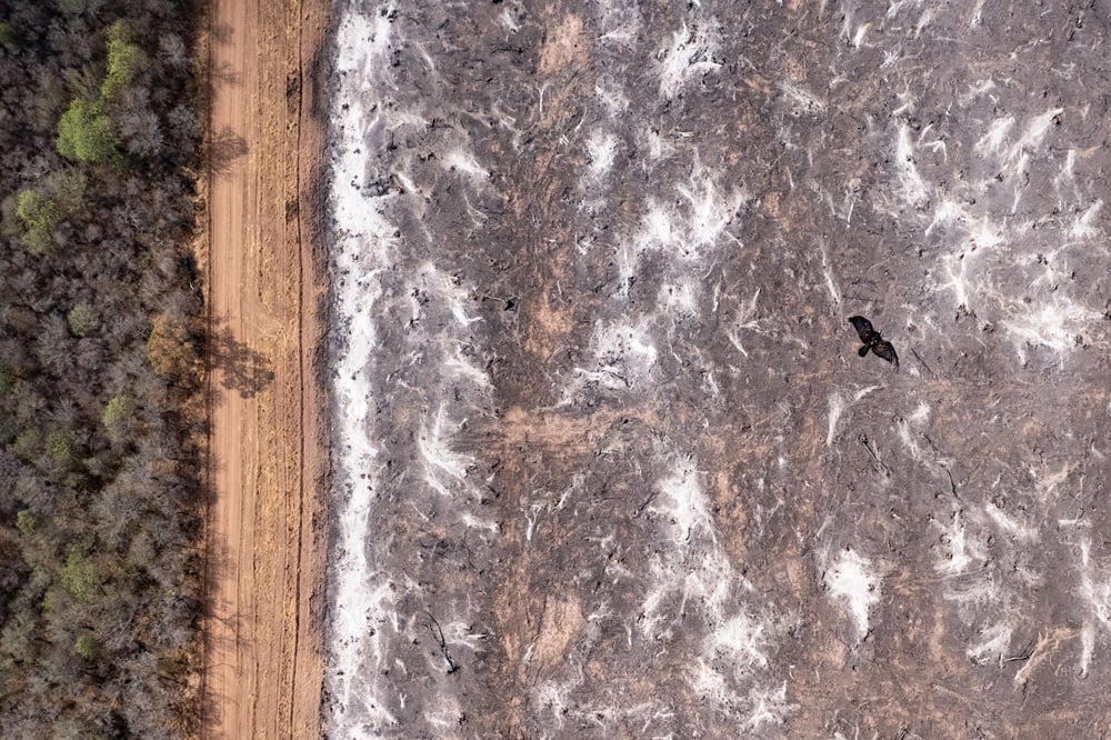 Quema de posdesmonte