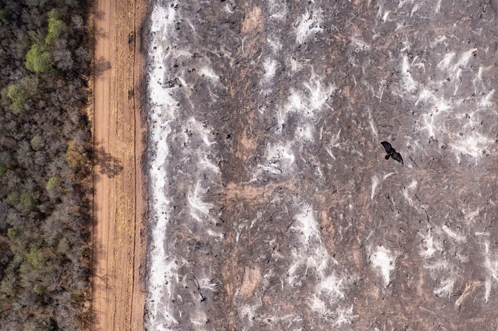 Quema de posdesmonte