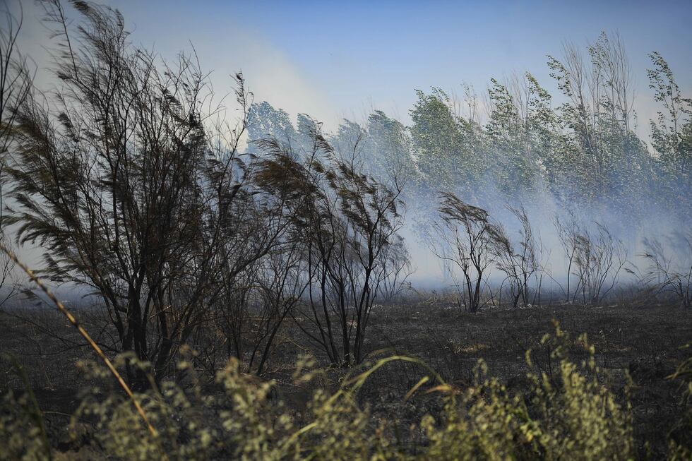 Rige una alerta amarilla por fuertes vientos y viento Zonda en 8 ...