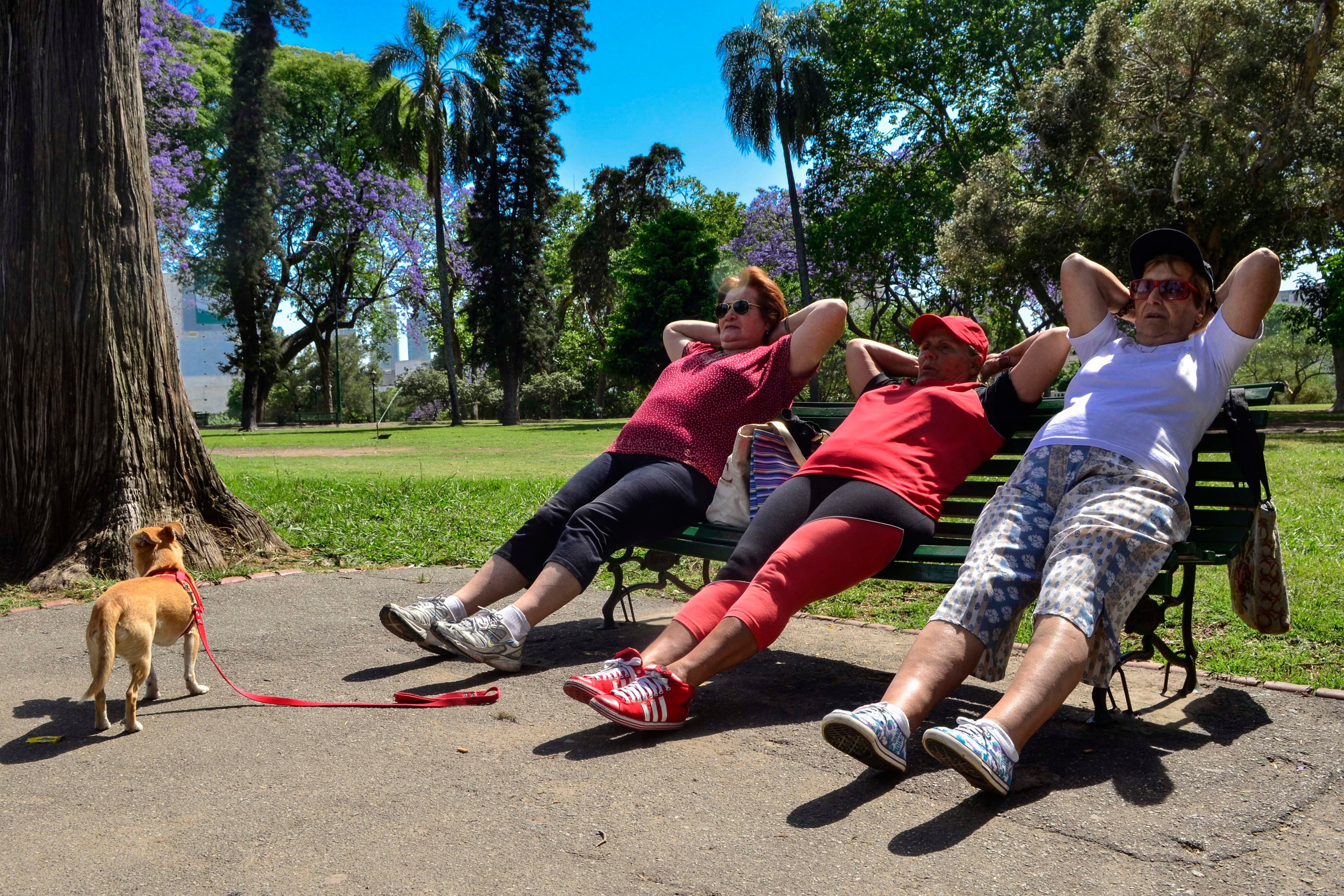 La nueva política previsional produjo una transferencia de los haberes más bajos a los más altos.
