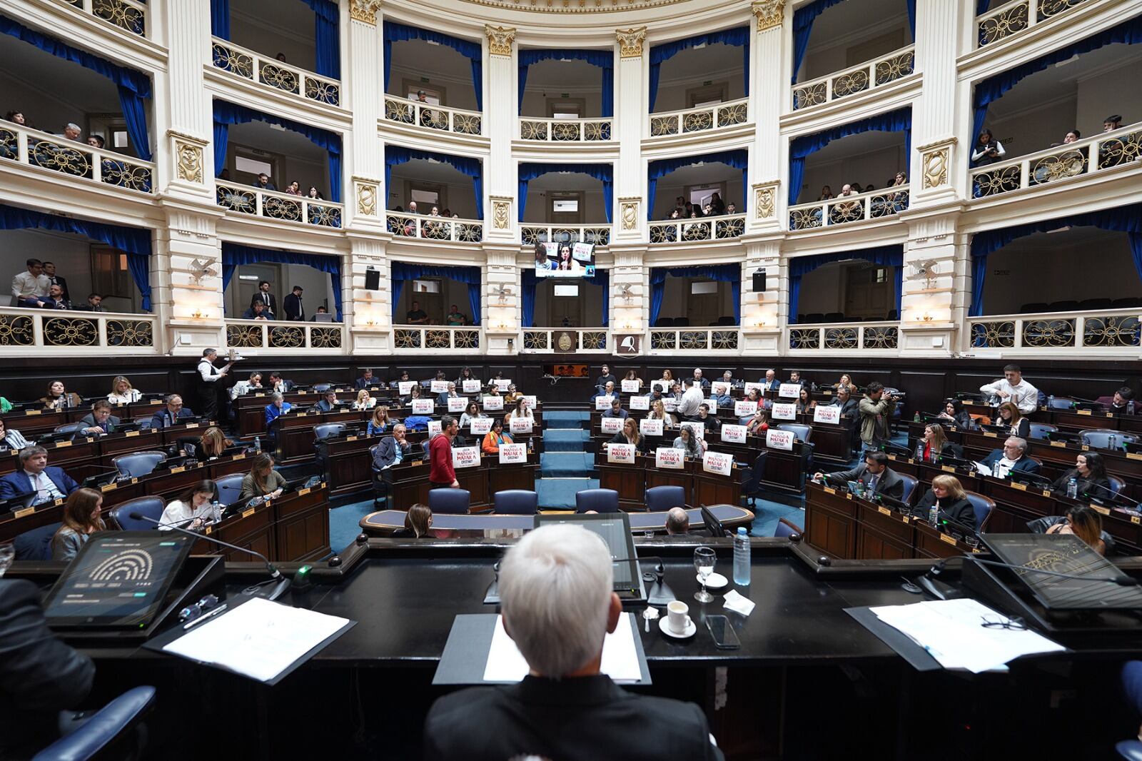 La Ley de Abordaje Integral de las Violencias por Razones de Género obtuvo media sanción.