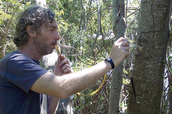 Luis Calcaterra es biólogo y se dedica a investigar las especies invasivas.